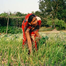 Foto Nayakrishi Andolon